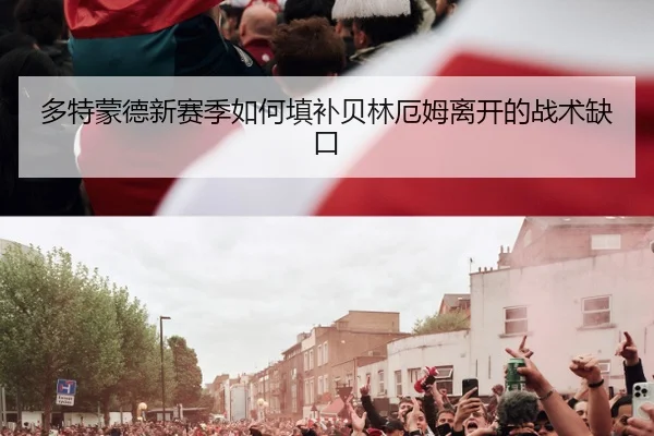 多特蒙德新赛季如何填补贝林厄姆离开的战术缺口